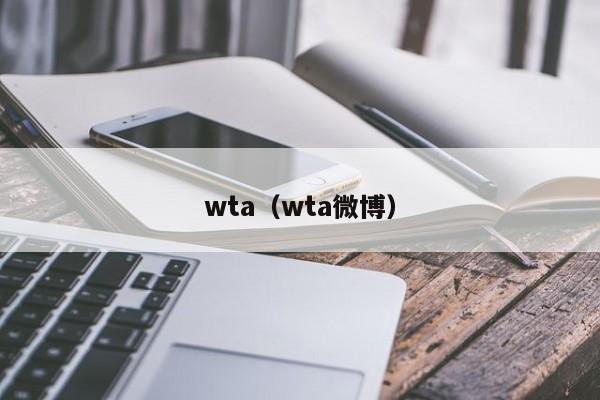 wta（wta微博）插图