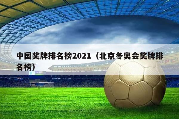 中国奖牌排名榜2023（北京冬奥会奖牌排名榜）插图