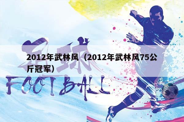 2012年武林风（2012年武林风75公斤冠军）插图