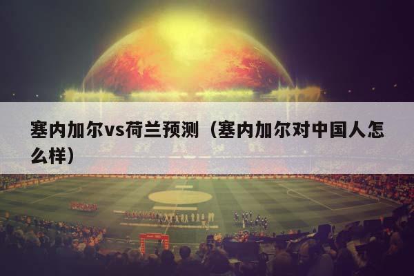 塞内加尔vs荷兰预测（塞内加尔对中国人怎么样）插图