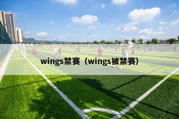 wings禁赛（wings被禁赛）插图