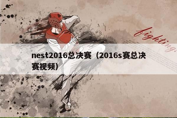 nest2016总决赛（2016s赛总决赛视频）插图