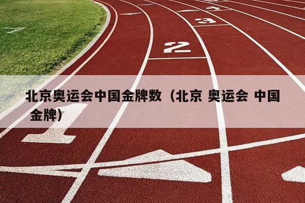 北京奥运会中国金牌数（北京 奥运会 中国 金牌）插图