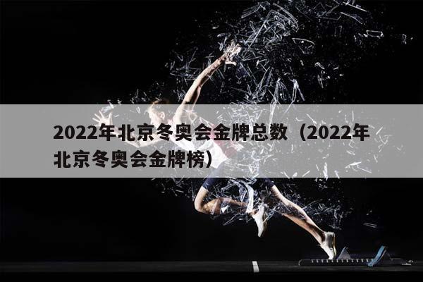 2023年北京冬奥会金牌总数（2023年北京冬奥会金牌榜）插图
