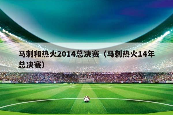 马刺和热火2014总决赛（马刺热火14年总决赛）插图