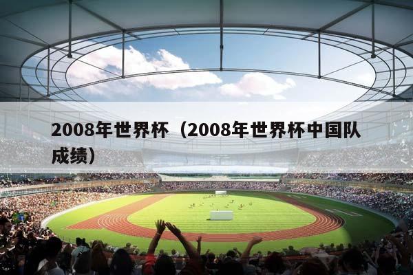 2008年世界杯（2008年世界杯中国队成绩）插图