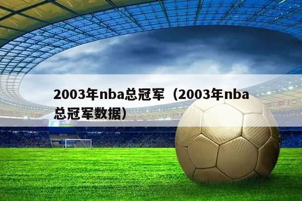 2003年NBA总冠军（2003年NBA总冠军数据）插图