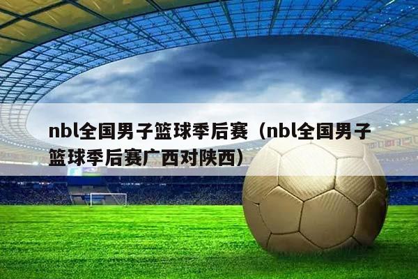 NBL全国男子篮球季后赛（NBL全国男子篮球季后赛广西对陕西）插图