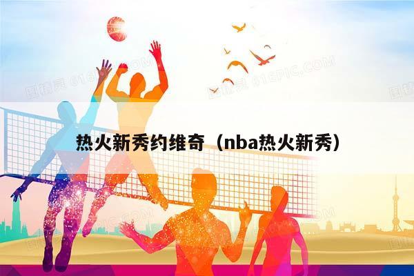 热火新秀约维奇（NBA热火新秀）插图