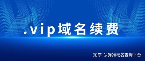中文新通用顶级域名(中文域名排名)插图