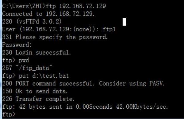 免费开放ftp服务器地址(服务器开放ftp端口)插图