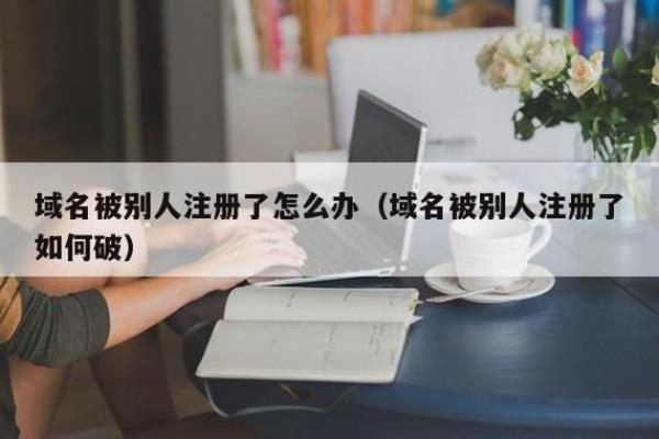 域名被别人注册了如何破(域名被他人盗用违法吗)插图