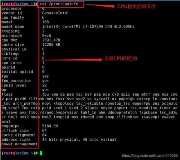 linux服务器查看cpu核数(怎么查看linux服务器cpu核数)插图