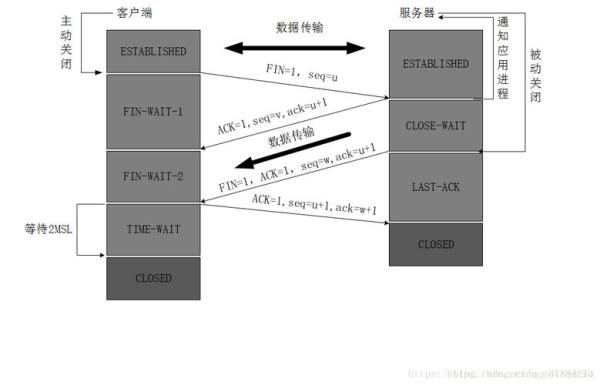 tcp数据转发(TCP数据转发服务器搭建)插图