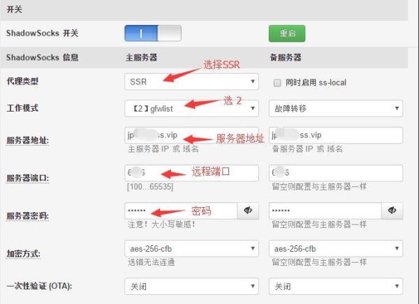ssr代理服务器地址(ssr代理端口)插图