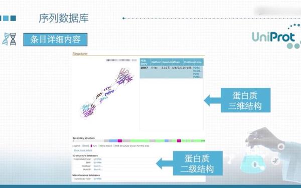 生信数据库有哪些(生物信息学数据库的种类)插图