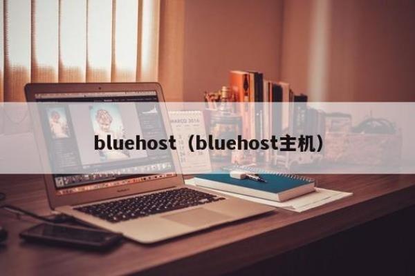 bluehost合法吗(blue host)插图