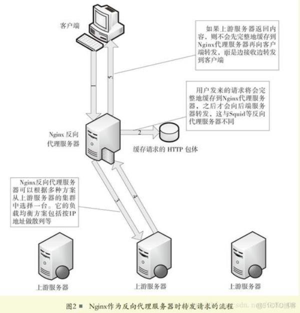 国产有没类似的nginx(类似nginx的反向代理服务器)插图