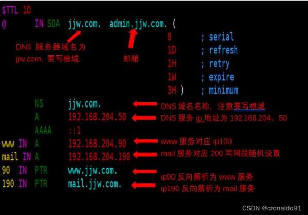 linux解析域名(linux解析域名对应ip)插图