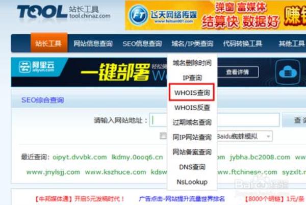 同ip域名被惩罚怎么解决(同ip域名查询工具)插图