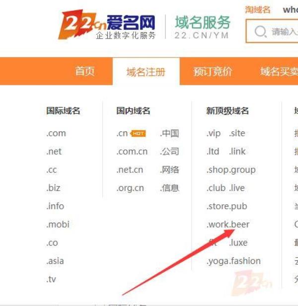 北京cn域名注册(注册域名平台)插图