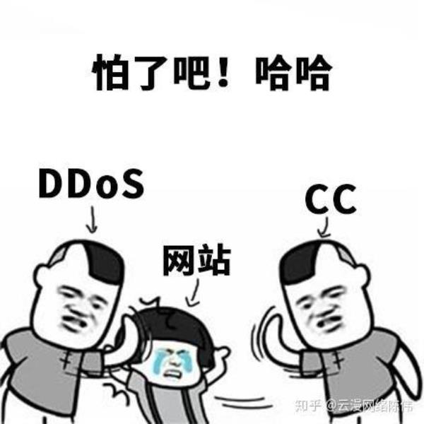 cc攻击有哪些类型(cc攻击的原理)插图