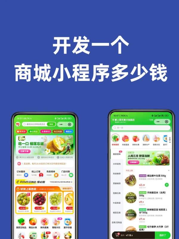 开发一款app软件需要多少钱(小程序开发公司十大排名)插图