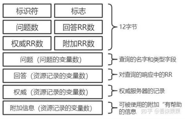 域名系统有哪些(域名系统的主要功能)插图