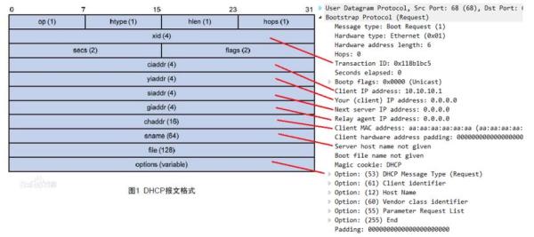 dhcp的含义(dhcp常用术语)插图