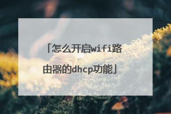 怎么开启路由器dhcp服务(怎么开启路由器dhcp功能)插图